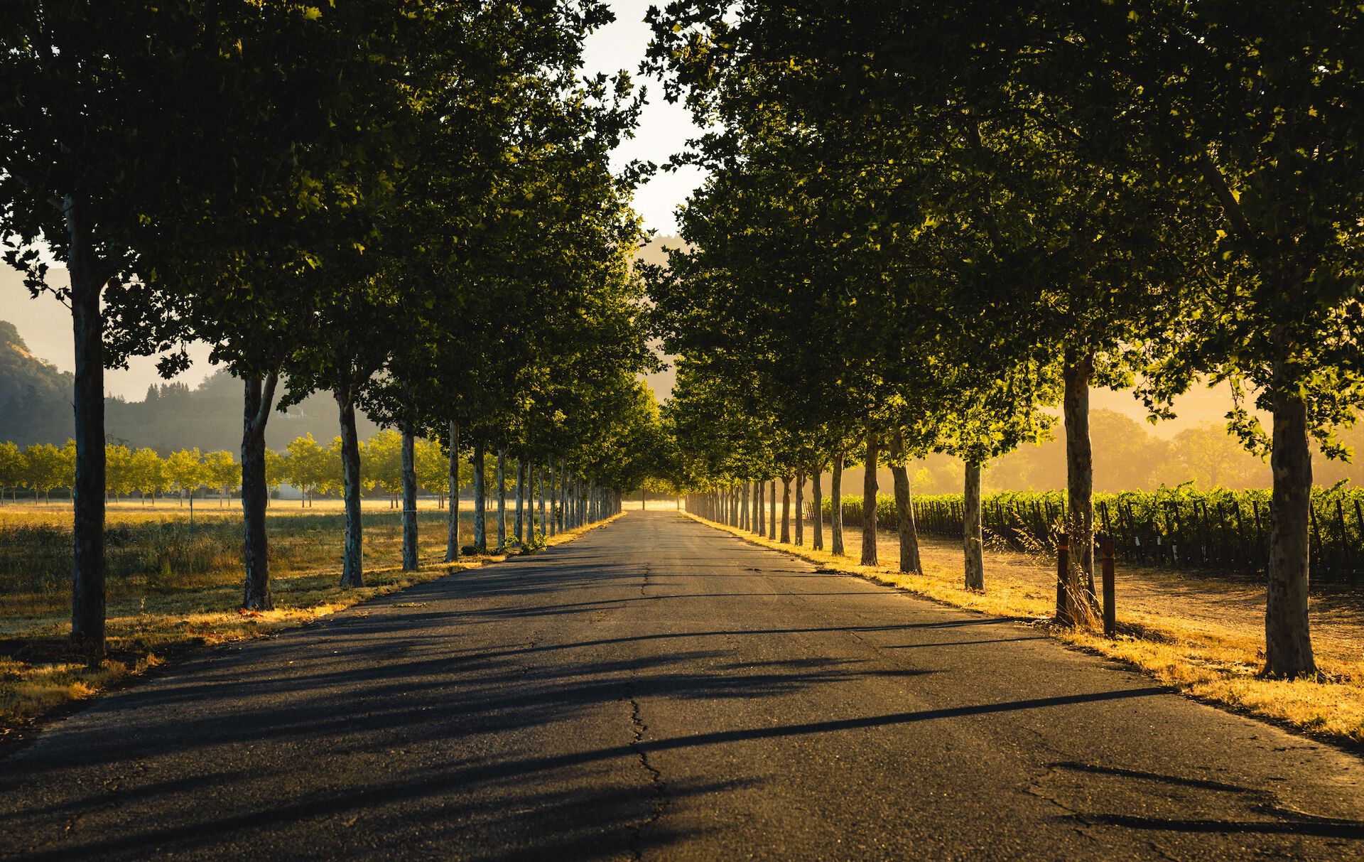 Stonestreet Estate Vineyards Driveway