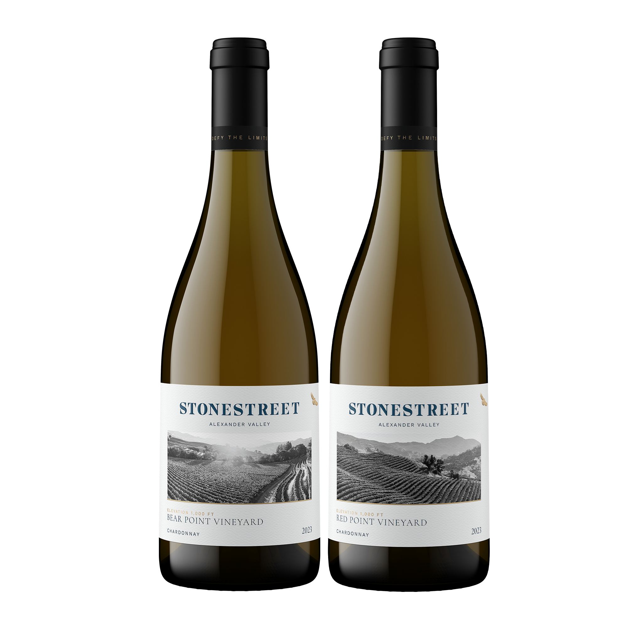 ST New Vintage Chardonnay 2-Bottle Set