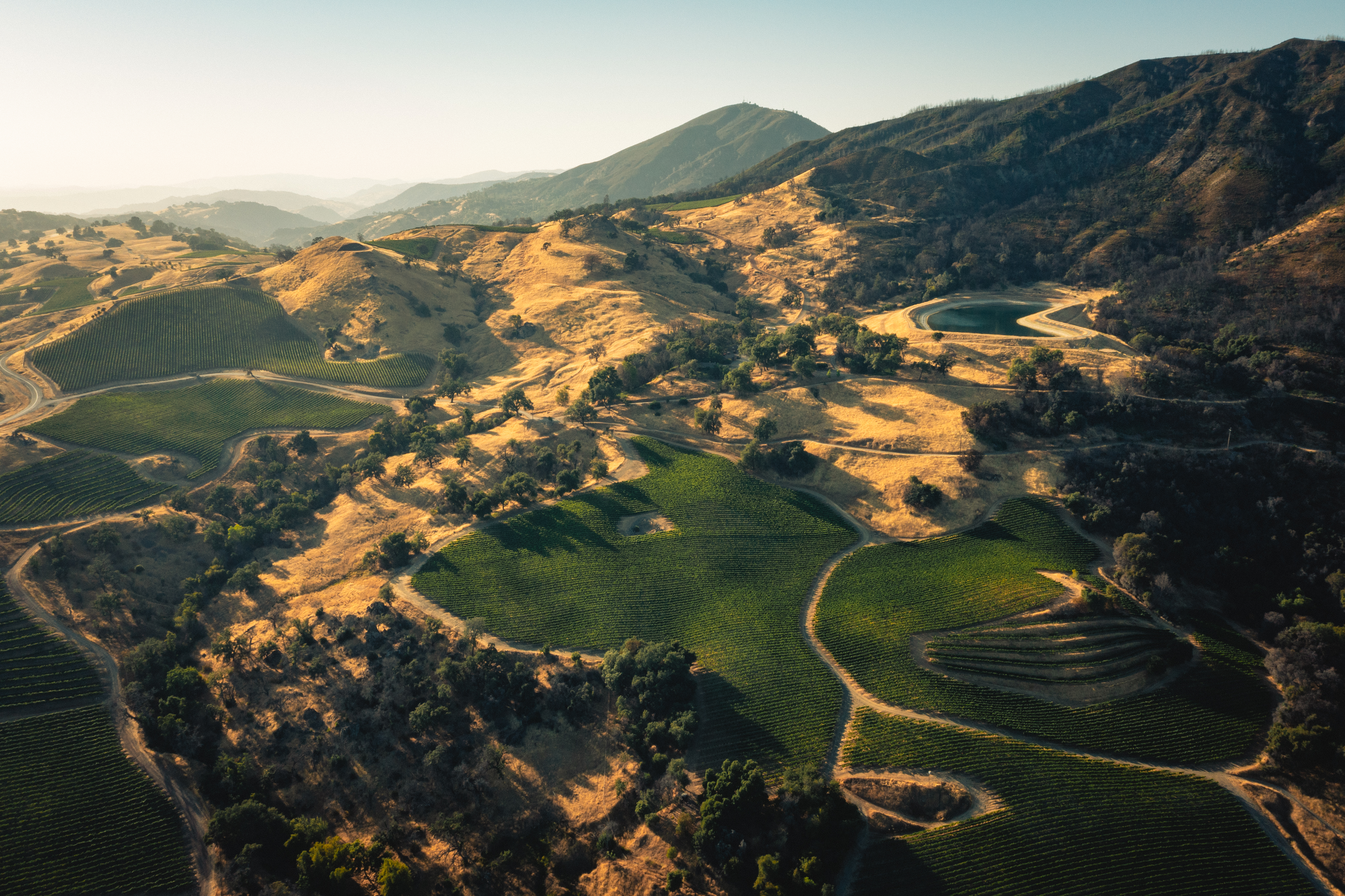 The Art and Science of Mountain Winemaking